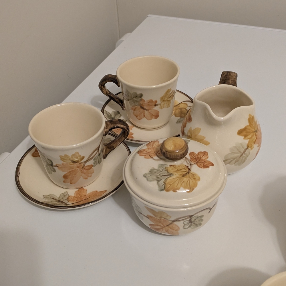 Vintage Floral Tea Set with Autumn Motif
